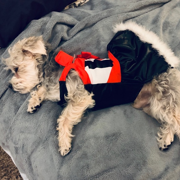 Doggo Queen of Hearts Costume - Picture 7 of 7